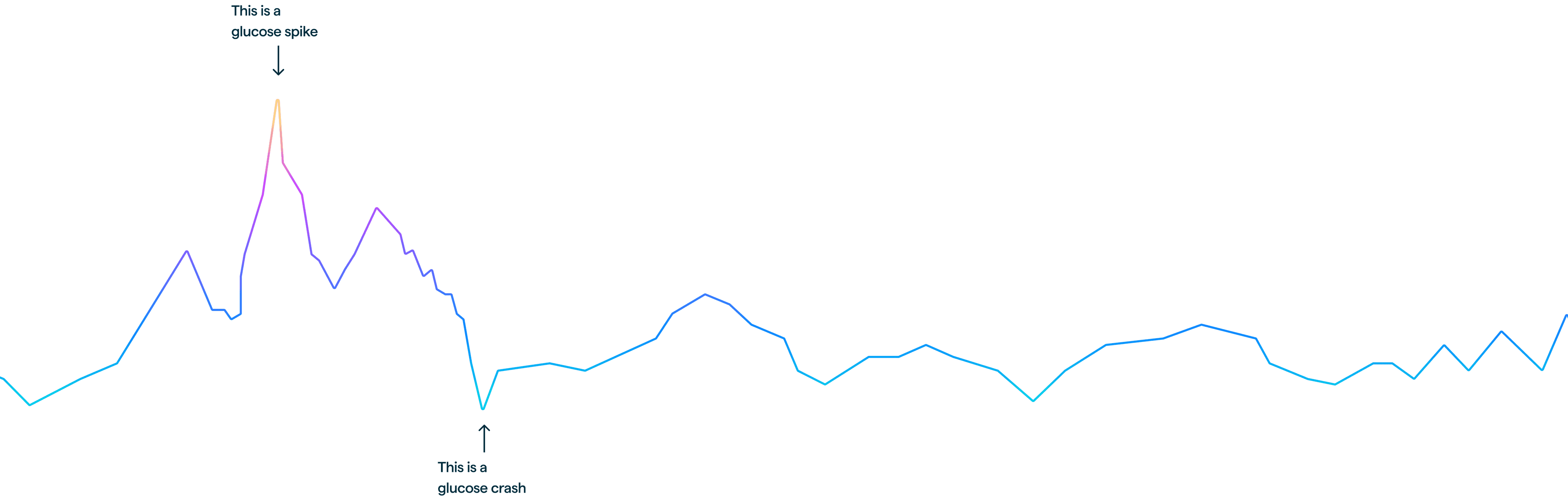 glucose curve