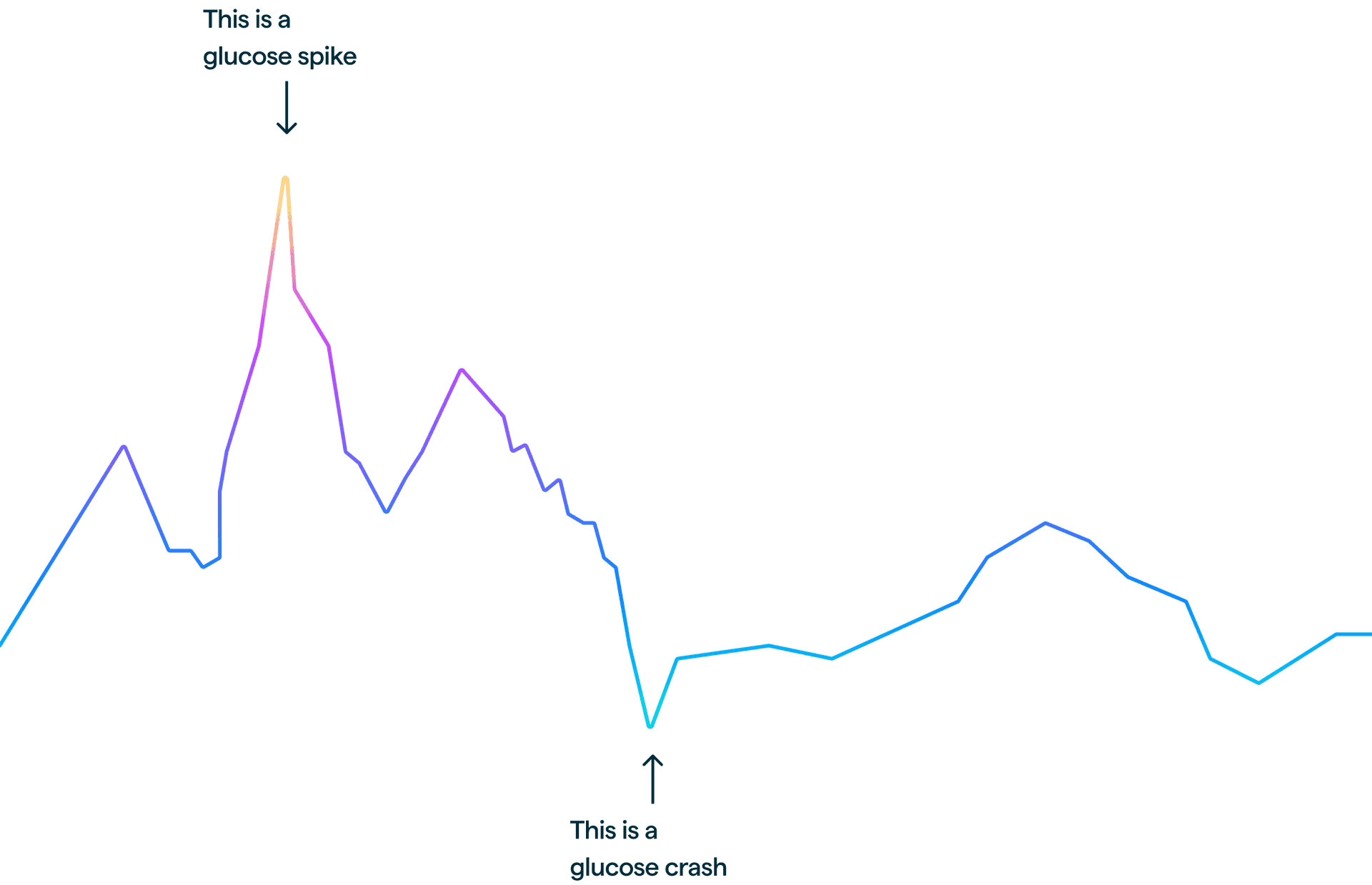 glucose curve