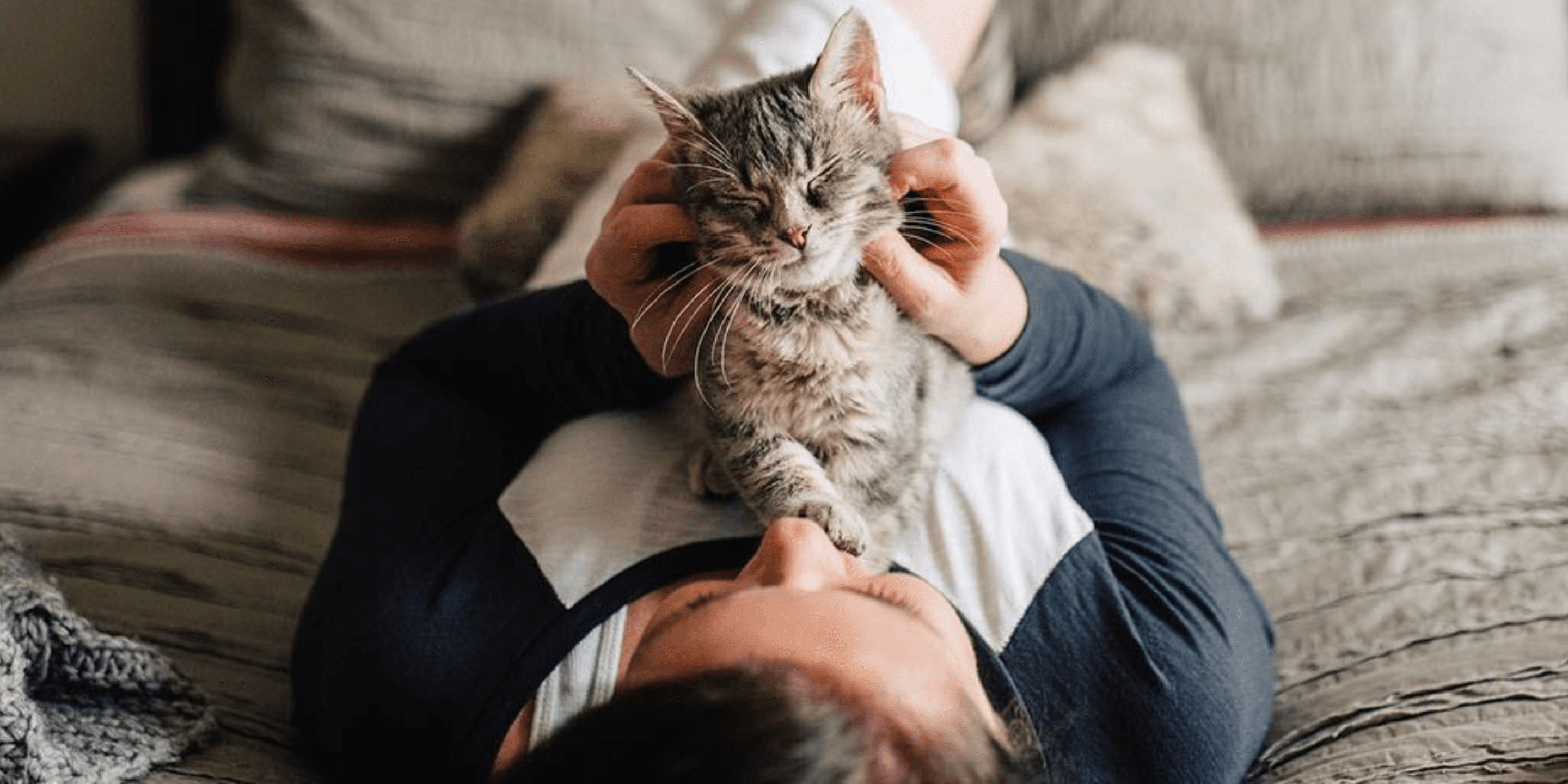 A person lying on a bed cuddling a cat. 