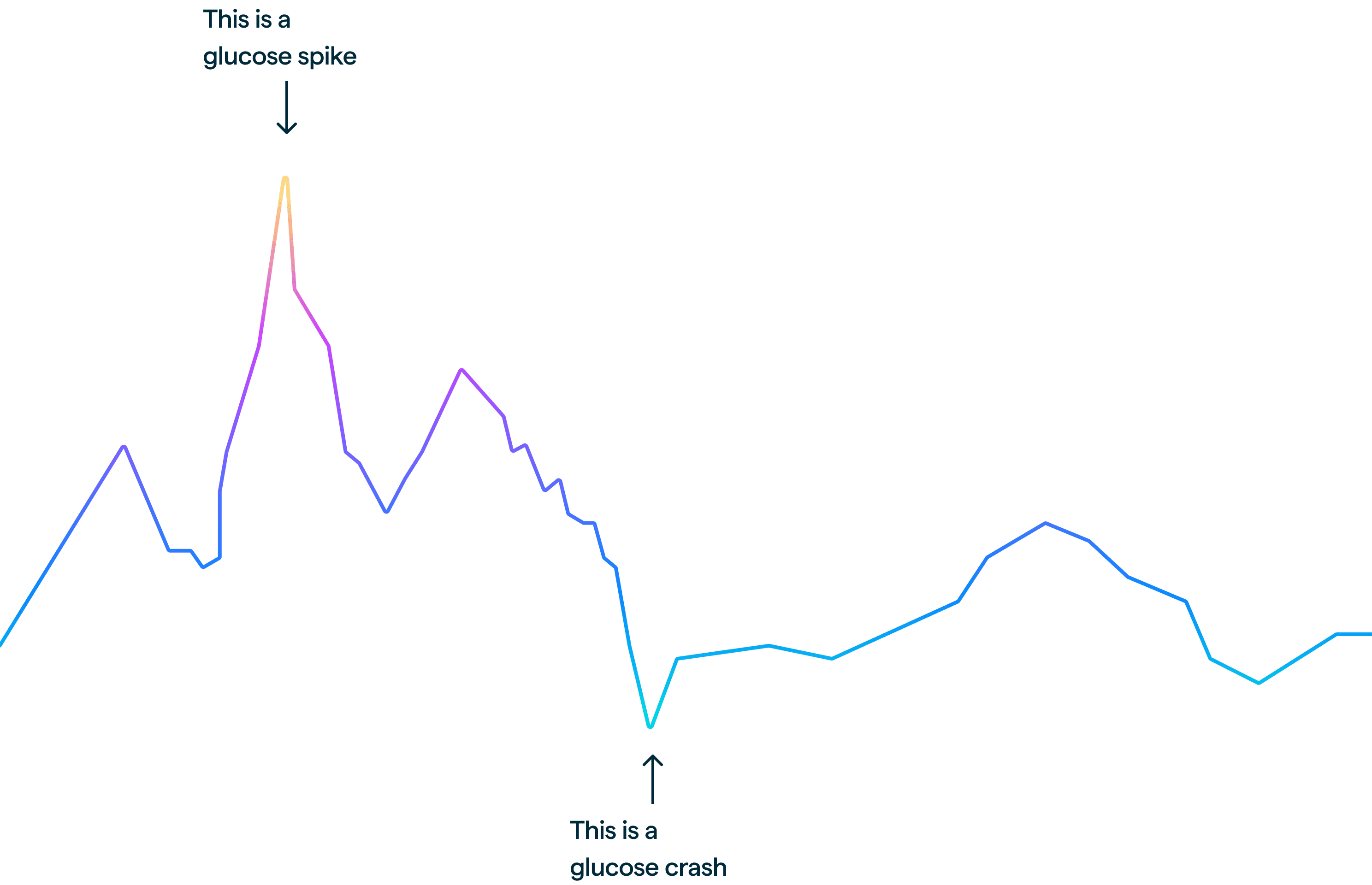 glucose curve