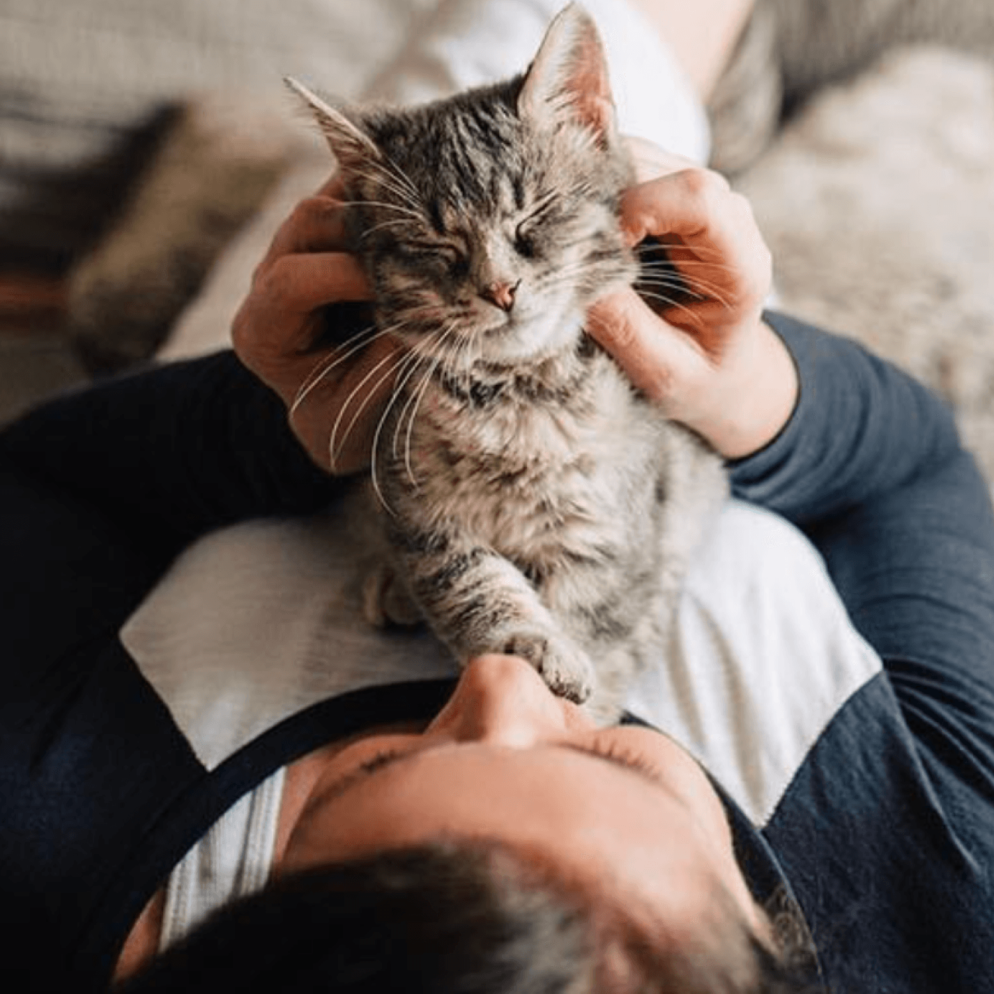 A person lying on a bed cuddling a cat.