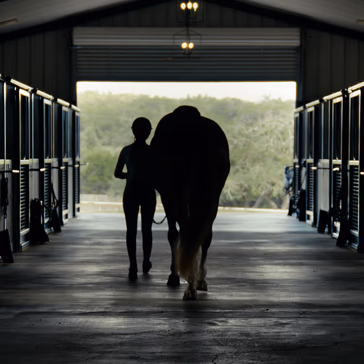 Feeling stronger in the arena — and in everyday life.