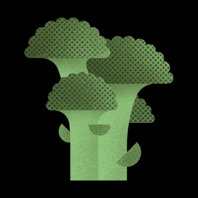 Illustration of broccoli