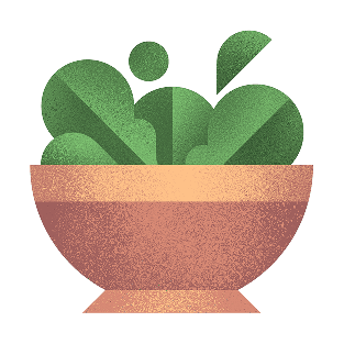 Illustration of a salad