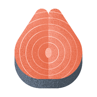 Illustration of salmon steak